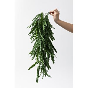 Yapay Sarmaşık Kaktüs Uv Korumalı 80 Cm 5 Dal
