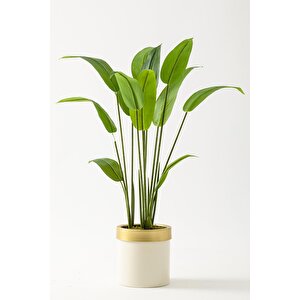 Yapay Starliçe Ağacı 120 Cm Krem Gold Saksı