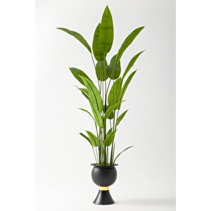 Yapay Starliçe Ağacı 220 Cm 24 Yaprak Siyah Balon Saksı
