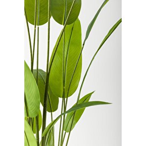 Yapay Starliçe Ağacı 220 Cm 24 Yaprak Siyah Balon Saksı