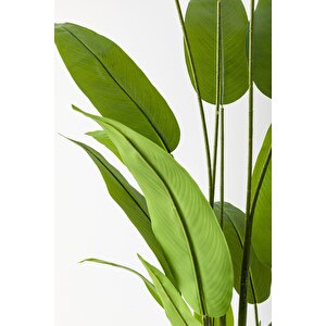 Yapay Starliçe Ağacı 220 Cm 24 Yaprak Siyah Balon Saksı
