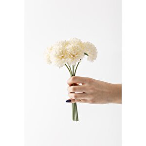 Yapay Kasımpatı Çiçeği Krem 25 Cm 7 Dal