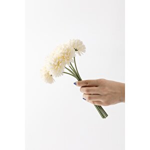 Yapay Kasımpatı Çiçeği Krem 25 Cm 7 Dal