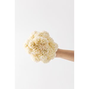 Yapay Kasımpatı Çiçeği Krem 25 Cm 7 Dal