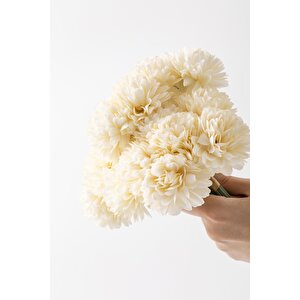 Yapay Kasımpatı Çiçeği Krem 25 Cm 7 Dal