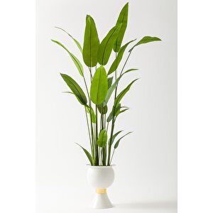 Yapay Starliçe Ağacı 220 Cm 24 Yaprak Beyaz Balon Saksı