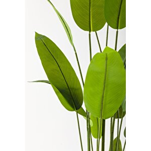 Yapay Starliçe Ağacı 220 Cm 24 Yaprak Beyaz Balon Saksı