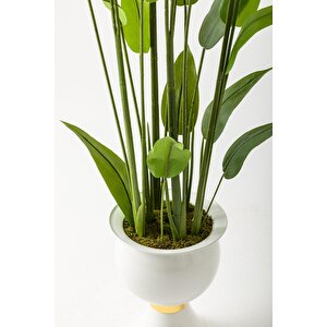 Yapay Starliçe Ağacı 220 Cm 24 Yaprak Beyaz Balon Saksı