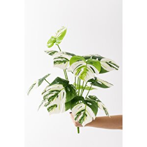 Yapay Salon Köşe Çiçeği Devetabanı Beyaz 65 Cm Saksısız