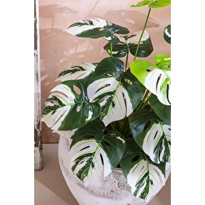Yapay Salon Köşe Çiçeği Devetabanı Beyaz 65 Cm Saksısız