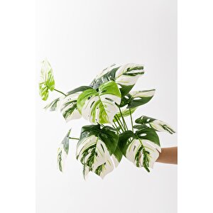 Yapay Salon Köşe Çiçeği Devetabanı Beyaz 65 Cm Saksısız