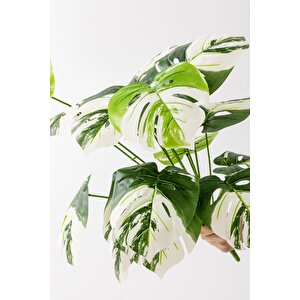 Yapay Salon Köşe Çiçeği Devetabanı Beyaz 65 Cm Saksısız