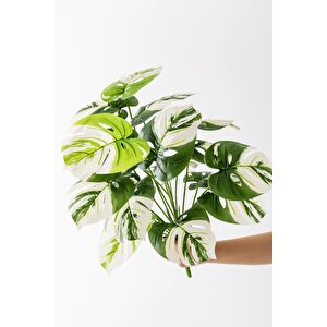 Yapay Salon Köşe Çiçeği Devetabanı Beyaz 65 Cm Saksısız