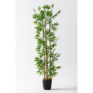 Yapay Bambu Ağacı 180 Cm