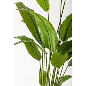 Yapay Starliçe Ağacı 160 Cm Beyaz Gold Metal Saksı