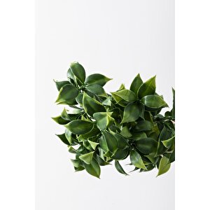 Yapay Limon Yaprağı Demeti Yeşil 30 Cm 7 Dal(uv)