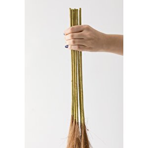 Yapay Pampas 100 Cm Tek Dal Kahverengi 5'li