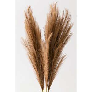 Yapay Pampas 100 Cm Tek Dal Kahverengi 5'li