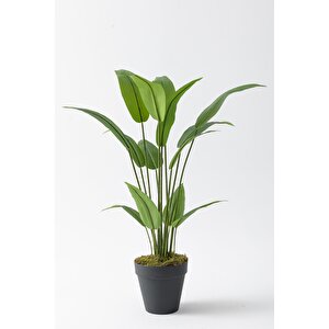 Yapay Starliçe Ağacı 120 Cm Plastik Saksı