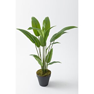 Yapay Starliçe Ağacı 120 Cm Plastik Saksı