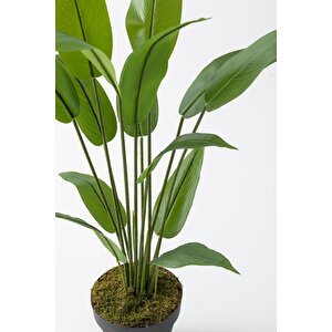 Yapay Starliçe Ağacı 120 Cm Plastik Saksı