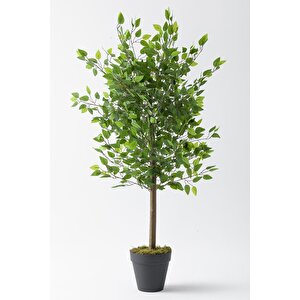 Yapay Benjamin Ağacı 160 Cm 72 Dal