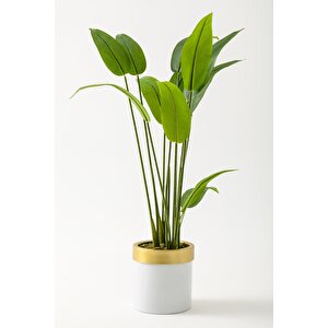 Yapay Starliçe Ağacı 120 Cm Beyaz Gold Saksı