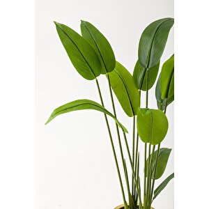 Yapay Starliçe Ağacı 120 Cm Beyaz Gold Saksı