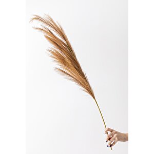 Yapay Pampas Çiçeği 100 Cm Tek Dal Kahverengi