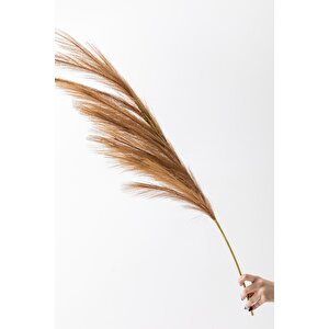 Yapay Pampas Çiçeği 100 Cm Tek Dal Kahverengi