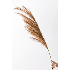 Yapay Pampas Çiçeği 100 Cm Tek Dal Kahverengi