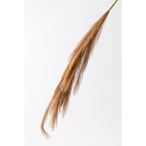Yapay Pampas Çiçeği 100 Cm Tek Dal Kahverengi