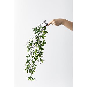 Yapay Sarmaşık Çay Uv Korumalı Yeşil 75 Cm 5 Dal