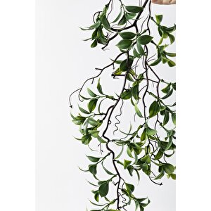 Yapay Sarmaşık Çay Uv Korumalı Yeşil 75 Cm 5 Dal