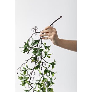 Yapay Sarmaşık Çay Uv Korumalı Yeşil 75 Cm 5 Dal
