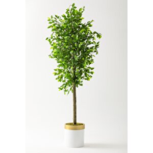 Yapay Benjamin Ağacı 180 Cm Beyaz Gold Metal Saksı