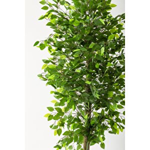 Yapay Benjamin Ağacı 180 Cm Beyaz Gold Metal Saksı
