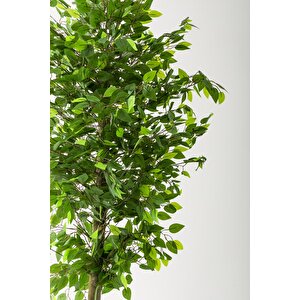 Yapay Benjamin Ağacı 180 Cm Beyaz Gold Metal Saksı