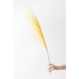 Yapay Pampas Çiçeği 100 Cm Tek Dal Sarı