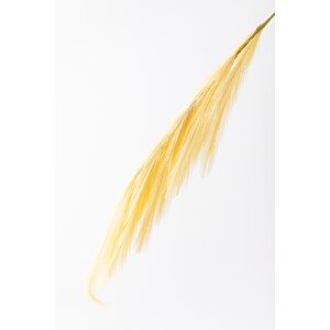 Yapay Pampas Çiçeği 100 Cm Tek Dal Sarı