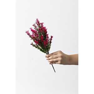 Yapay Latus Demeti Yeşil Pembe 35 Cm 5 Dal(uv)