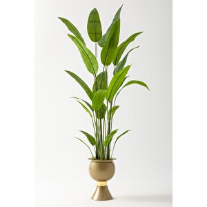 Yapay Starliçe Ağacı 220 Cm 24 Yaprak Gold Balon Saksı
