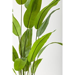 Yapay Starliçe Ağacı 220 Cm 24 Yaprak Gold Balon Saksı
