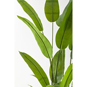 Yapay Starliçe Ağacı 220 Cm 24 Yaprak Gold Balon Saksı