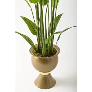 Yapay Starliçe Ağacı 220 Cm 24 Yaprak Gold Balon Saksı