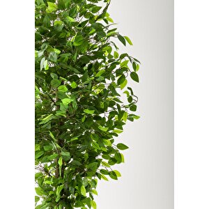 Yapay Benjamin Ağacı 180 Cm Krem Gold Metal Saksı