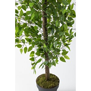 Yapay Benjamin Ağacı 180 Cm 108 Dal