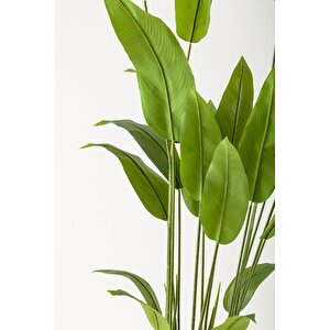 Yapay Starliçe Ağacı 230 Cm Krem Gold Geniş Bilezkli Damla Saksı