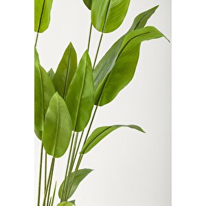 Yapay Starliçe Ağacı 230 Cm Krem Gold Geniş Bilezkli Damla Saksı