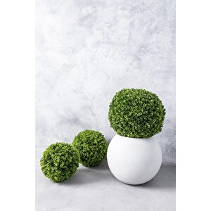 Yapay Top Çamdalı 3'lü Set (uv)